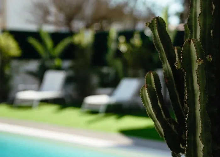 Cactus - Private With Pool And Bbq
